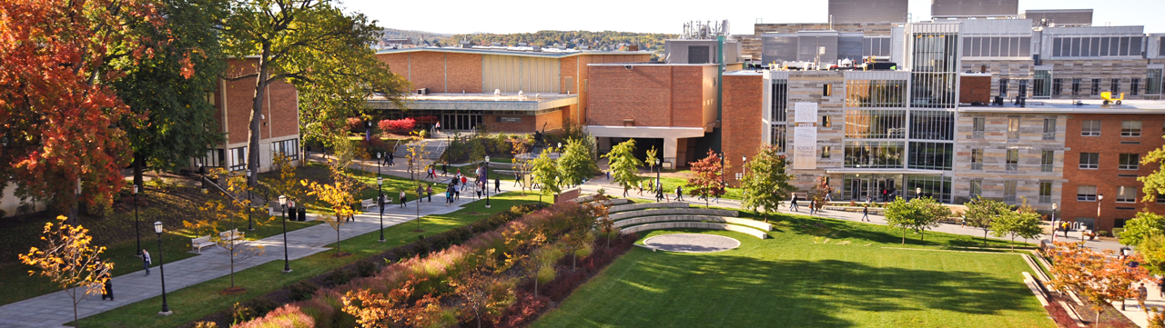 Kinesiology Academic Programs Majors And Minors About Our 