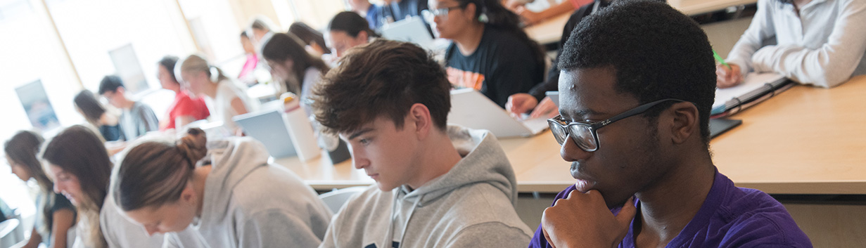 Cybercrime and Homeland Security