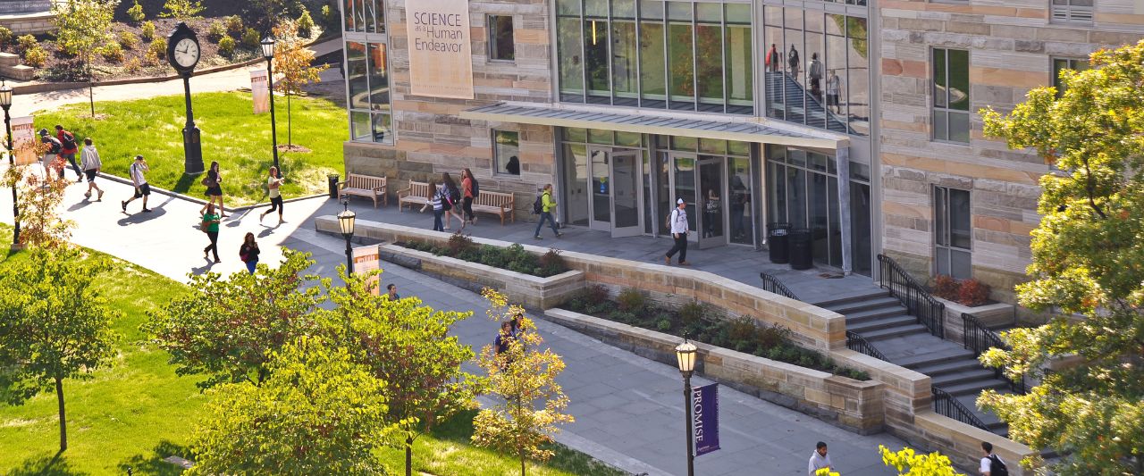 Apply Now Psychology BS Program The University of Scranton