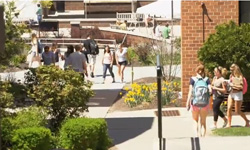 Students walk and socialize along a sunny campus pathway bordered by green trees, bushes, and blooming flowers, with campus buildings visible in the background.