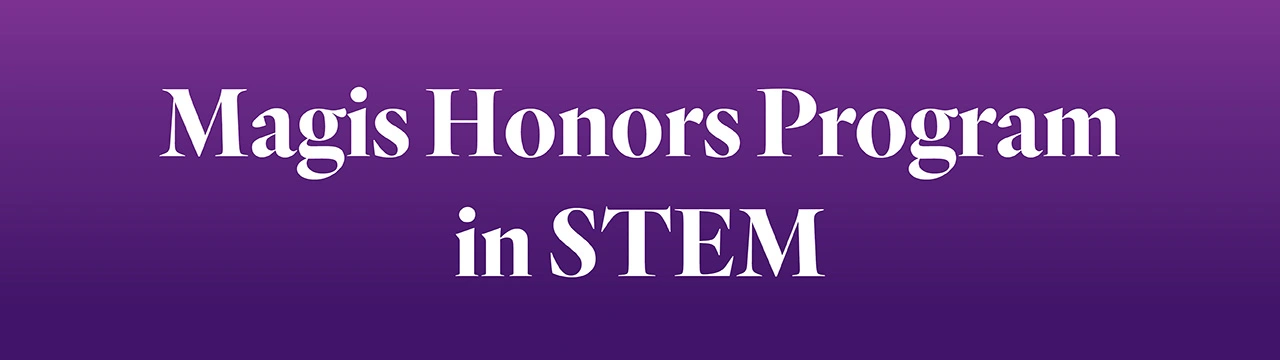 Large white text centered on a purple gradient background, reading 'Magis Honors Program in STEM'