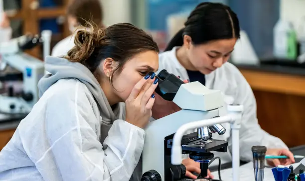 University of Scranton students working in the lab